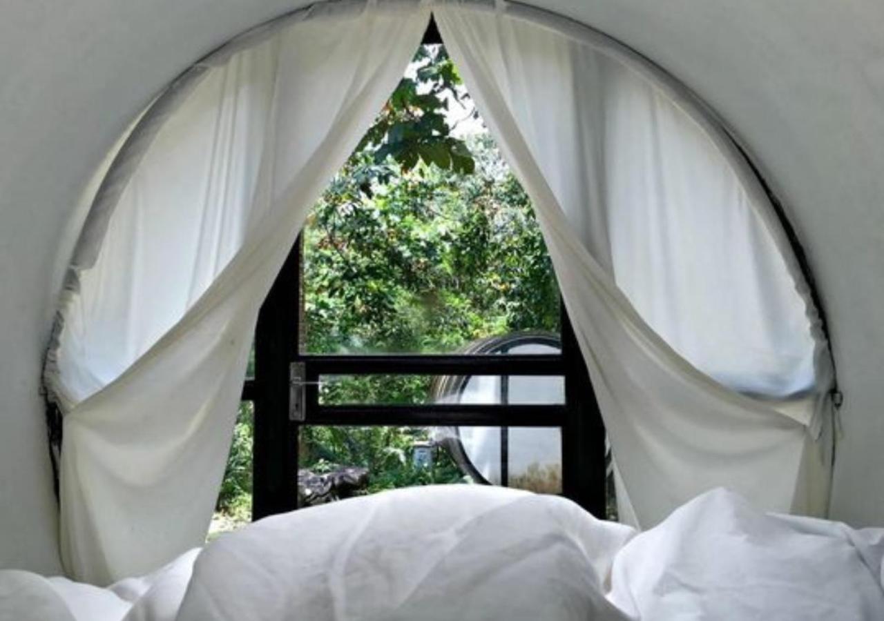 Time Capsule Retreat, Sungai Lembing Villa Exterior photo