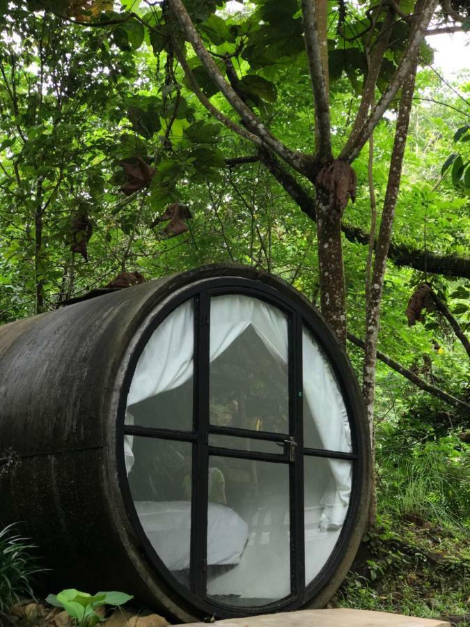 Time Capsule Retreat, Sungai Lembing Villa Exterior photo